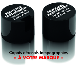 Demoulant hautes performances sans silicone. Agree NSF contact alimentaire pour extrusion soufflage, pour composites. Agent de glissement. Lubrifiant propre. demoulant, agent de demoulage, anti adherent, demoulant liquide, demoulant contact alimentaire, demoulant plastique, demoulant injection soufflage, aerosol demoulant, aerosol agent de demoulage, aerosol anti adherent, aerosol demoulant contact alimentaire, aerosol demoulant plastique, aerosol demoulant injection soufflage, demoulant sans silicone, demoulant composites, demoulant fonderie cire perdue, demoulant bois. Demoulant sans silicone en bombe. Aerosol demoulant sans silicone. Fournisseurs demoulants. Fabricants demoulants. Fournisseurs agents de demoulage. Fabricants agents de demoulage. Agent de demoulage. Demoulant extrusion soufflage. Demoulant alimentaire. Demoulant polyurethane. Demoulant mousse polyurethane. Demoulant polyester.